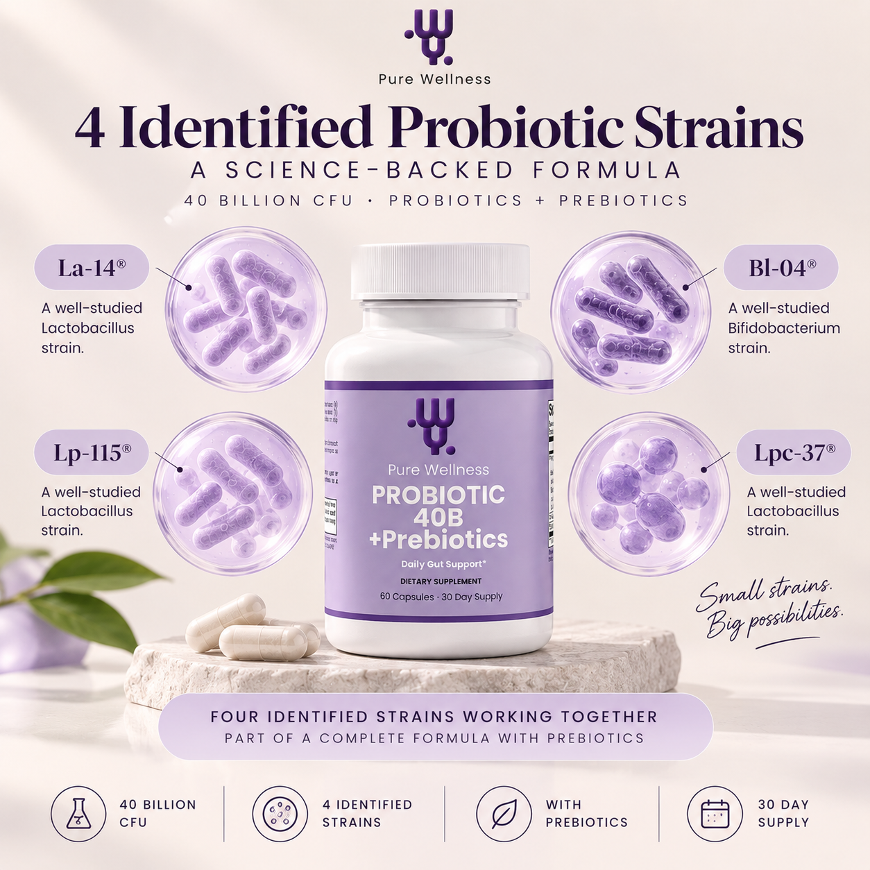 Probiotic 40B + Prebiotics
